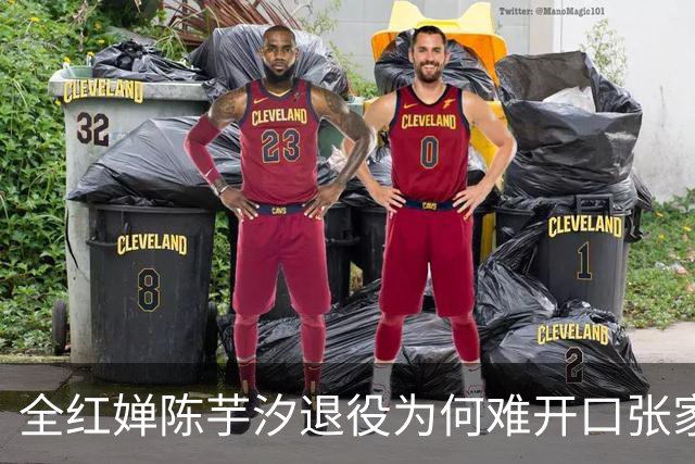 全红婵陈芋汐退役为何难开口张家齐的干脆藏着残酷真相